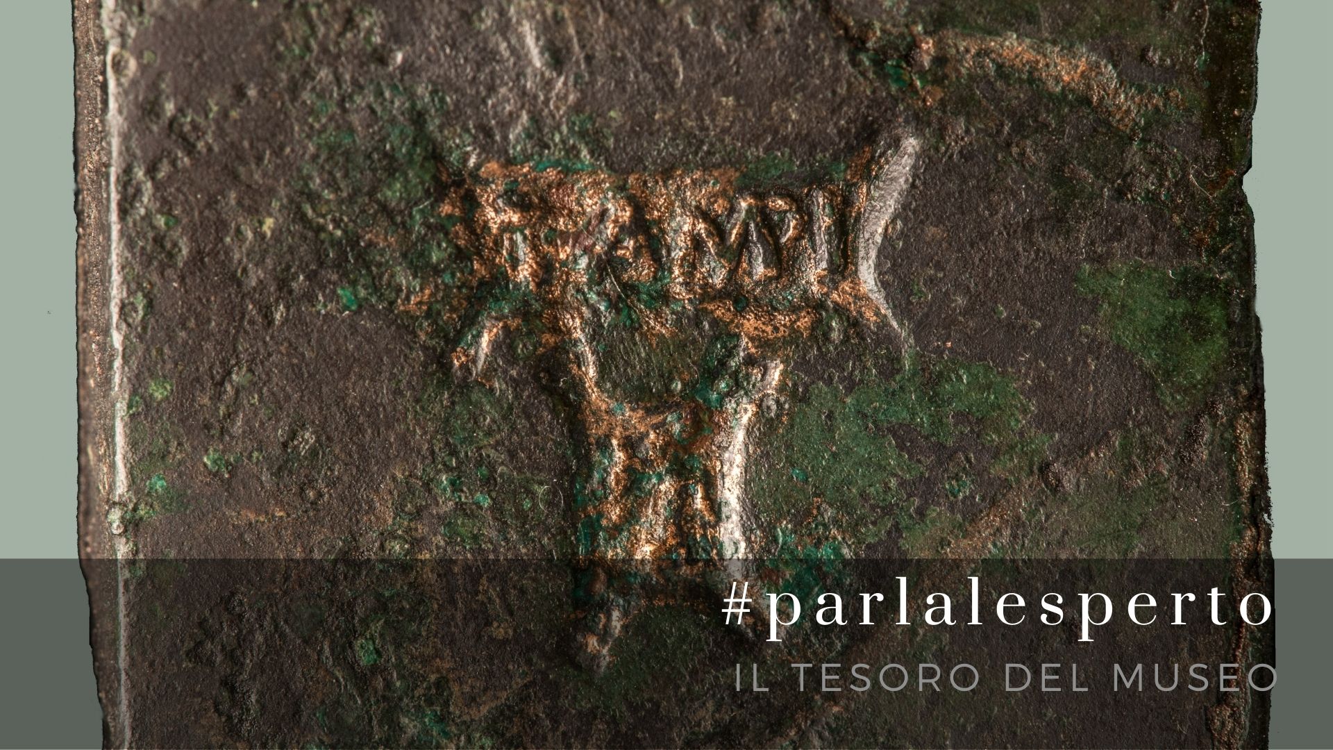 #parlalesperto 3 - "Gli strigili della gens Tampia"